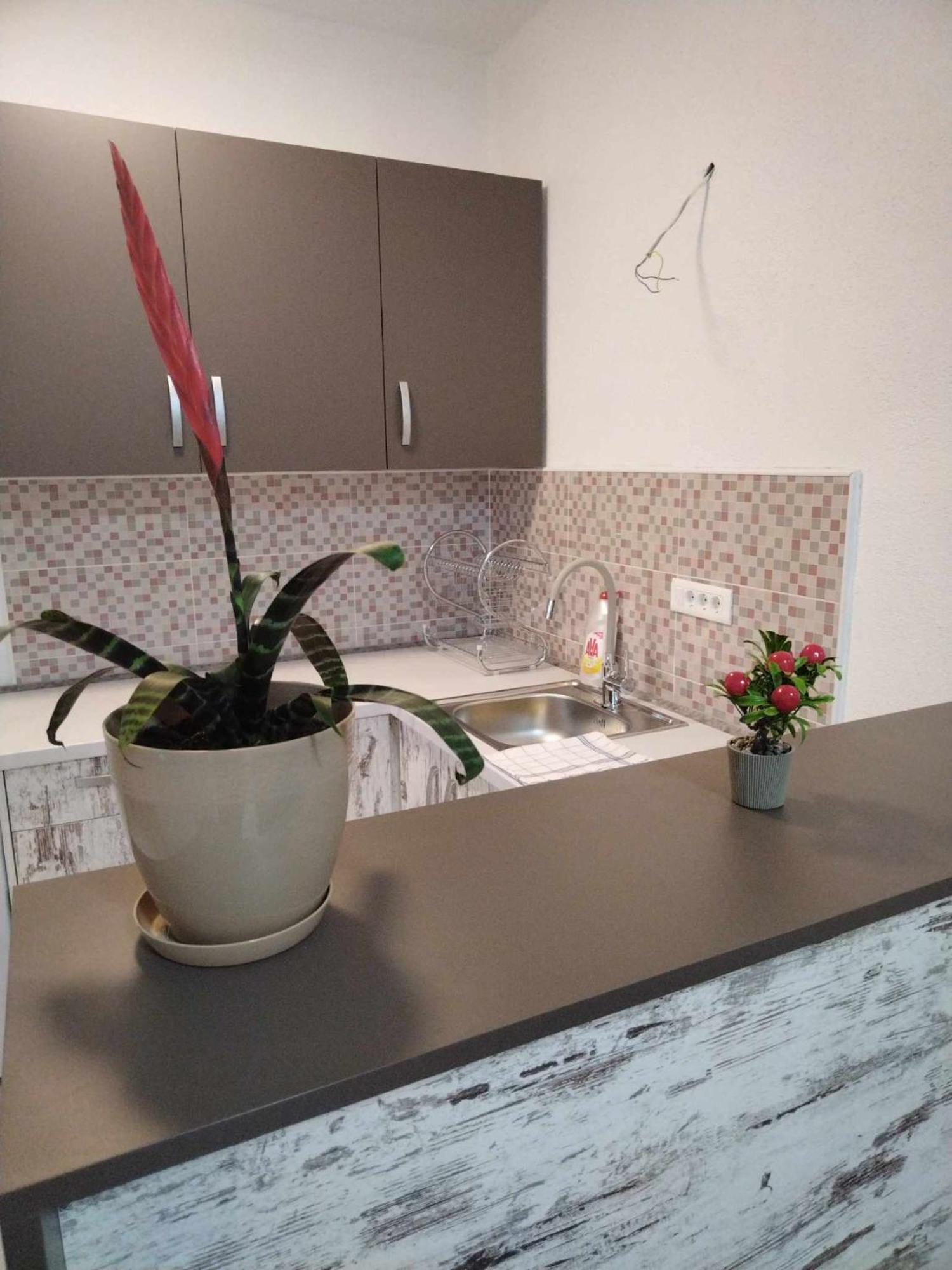 Apartment Snezana Gevgelija